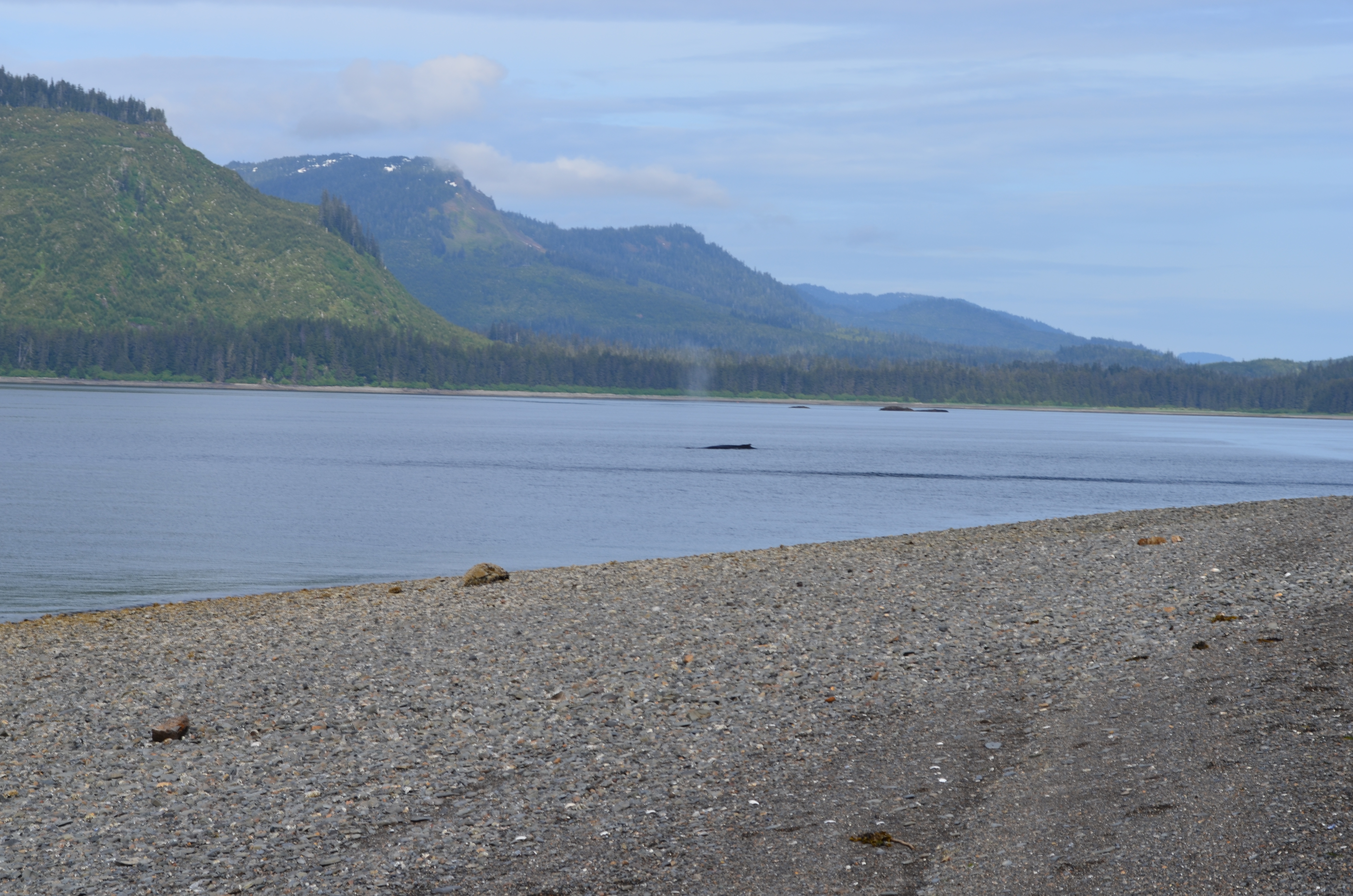 ./2017/08 - Alaska Cruise/10 - Icy Strait Point/DSC_0289.JPG